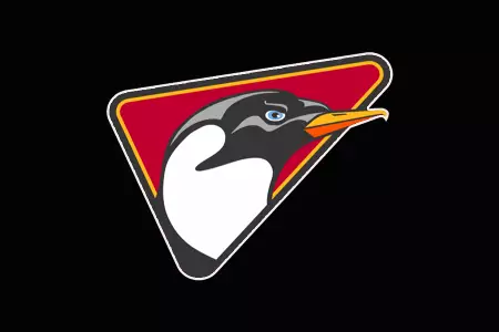 Dallas Penguins Game Day Tailgate Flag - Black Penguin